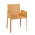 Lachlan Dining Armchair - Desert Sand - GlobeWest