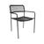 Pier Rope Dining Arm Chair - Black - GlobeWest