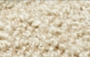 Fleece Fawn