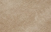 Parchment