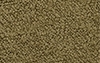 Hedge