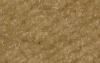 Oyster