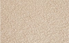 Shell Boucle