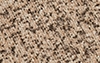 Sand Speckle