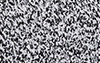 Pepper Boucle