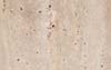 Travertine