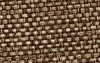 Quoll Speckle