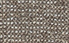 Dawn Tweed